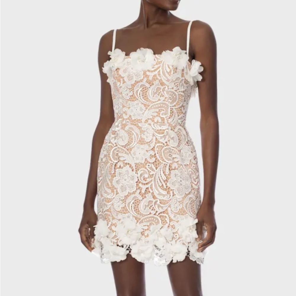 Floral Lace Appliqué Mini Dress in Ivory